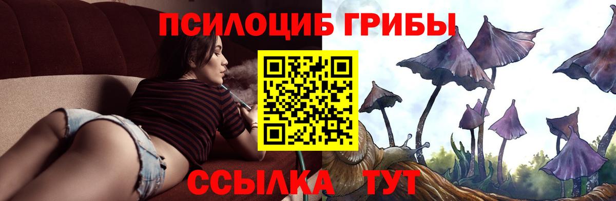 дарнет шоп  Вход с VPN  Пермь  Галлюциногенные грибы ЛСД 